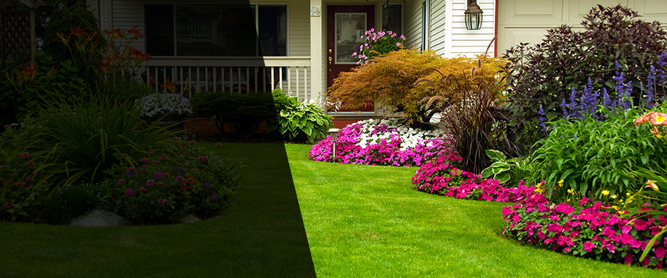 Cordova Landscapers